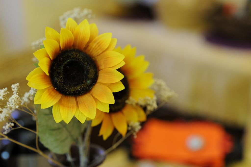 La Casa Romana Bed & Breakfast